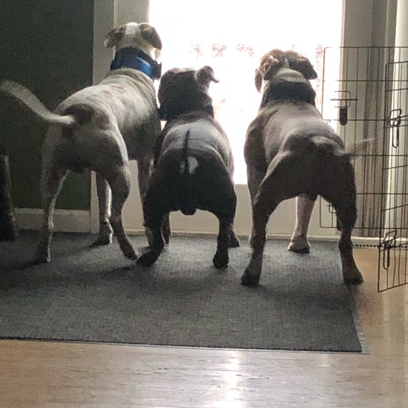 Meet your Posher, Michelle - Picture 2 of 8